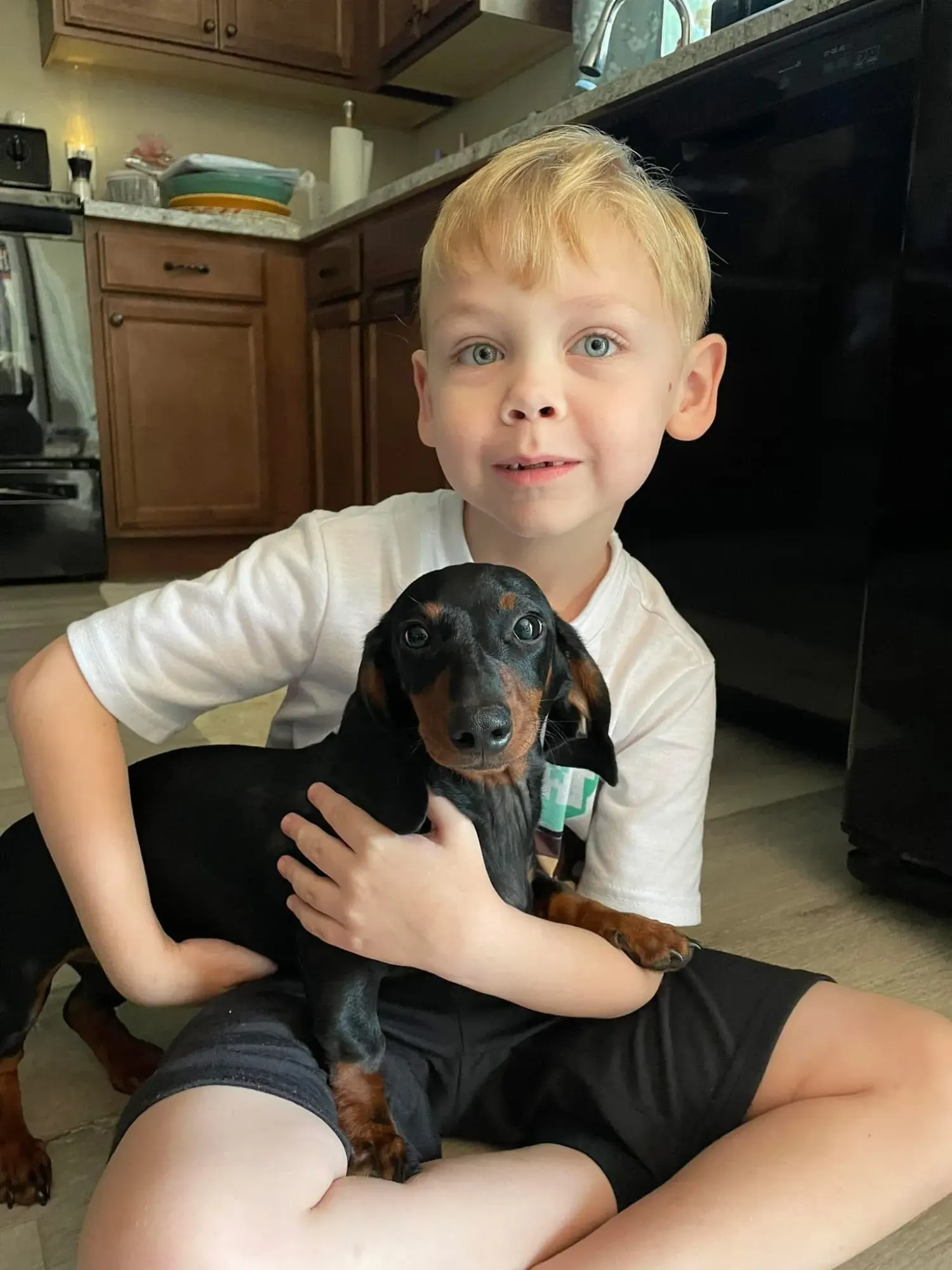 A young boy with a Miniature Dachshund at Irish Rose Acres
